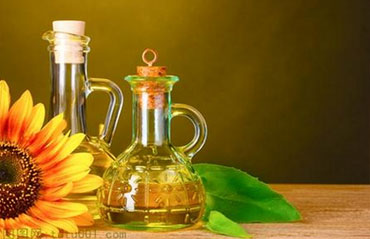 合肥春苗學(xué)生食品管理有限公司